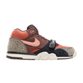 Nike SB Air Trainer 1 Arts-Rec Limestone