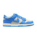Nike Dunk Low Light Silver Sail Light Photo Blue (GS)