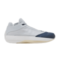 Jordan 40 Wolf Grey