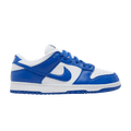 Nike Dunk Low SP Kentucky